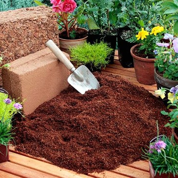 Coco peat Blocks