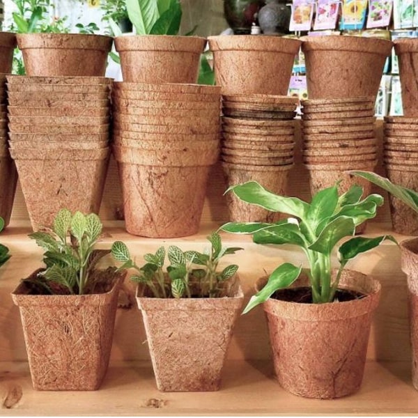 Coco Pots